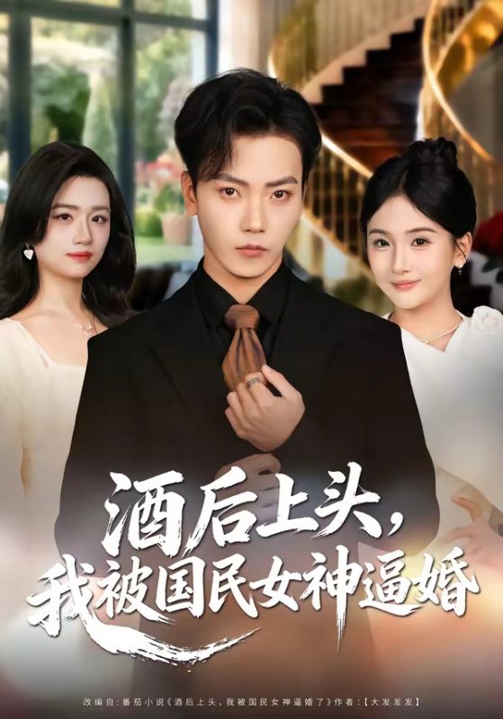 《酒后上头，我被国民女神逼婚》-VIP部落