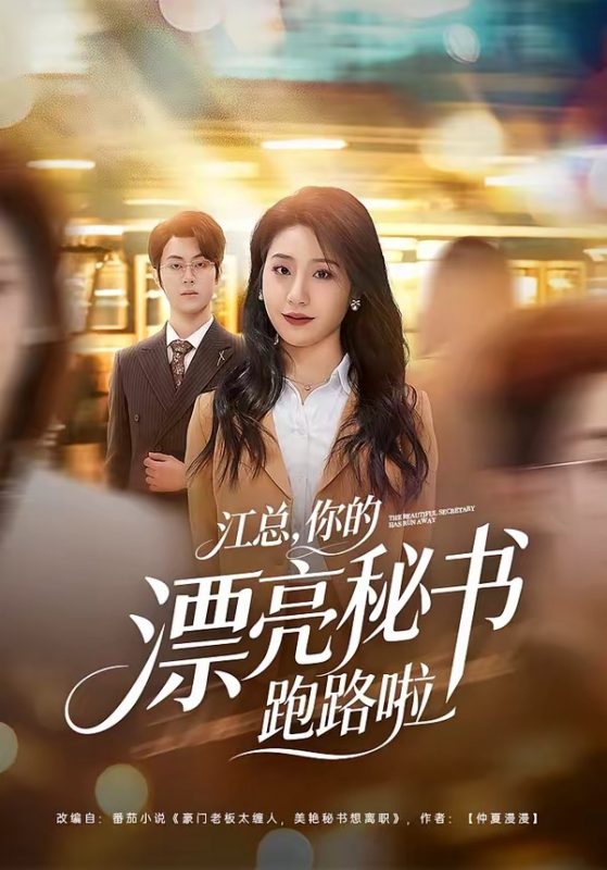 《江总，你的漂亮秘书跑路啦》-VIP部落