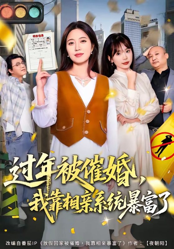 《过年被催婚，我靠相亲系统暴富了》-VIP部落