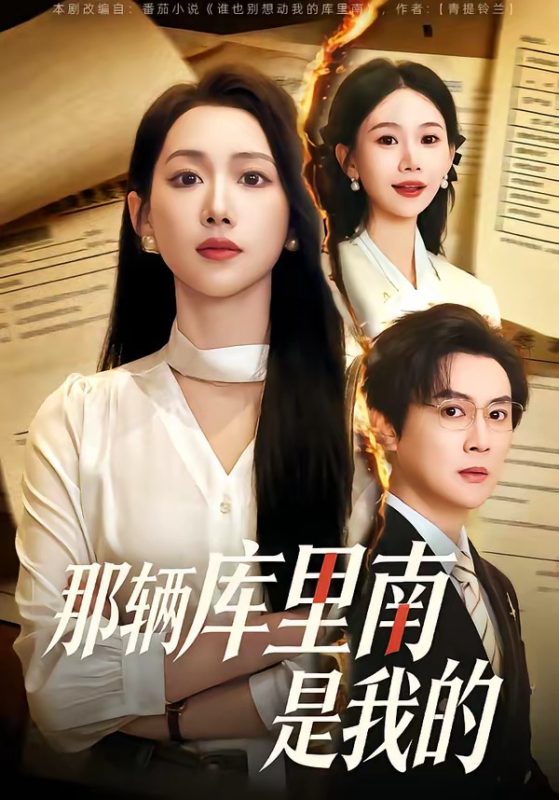 《那辆库里南是我的》-VIP部落