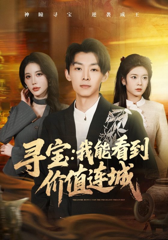 《寻宝：我能看到价值连城》-VIP部落