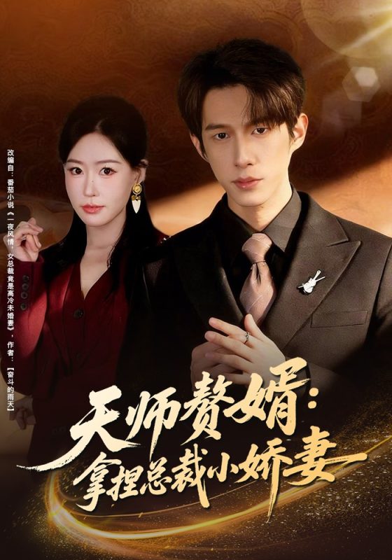 《天师赘婿：拿捏总裁小娇妻》-VIP部落