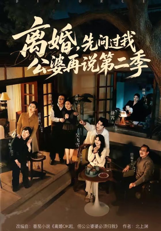 《离婚，先问过我公婆再说第二季》-VIP部落
