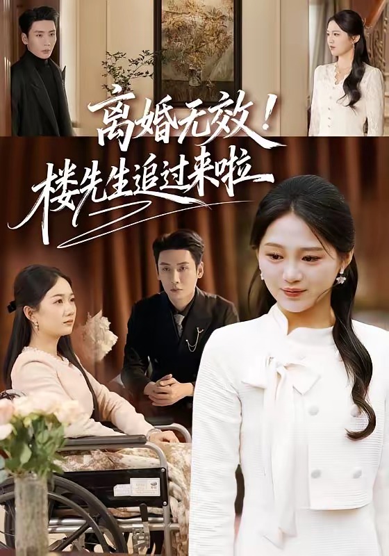 《离婚无效！楼先生追过来啦》-VIP部落