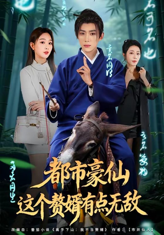 《都市豪仙，这个赘婿有点无敌》-VIP部落