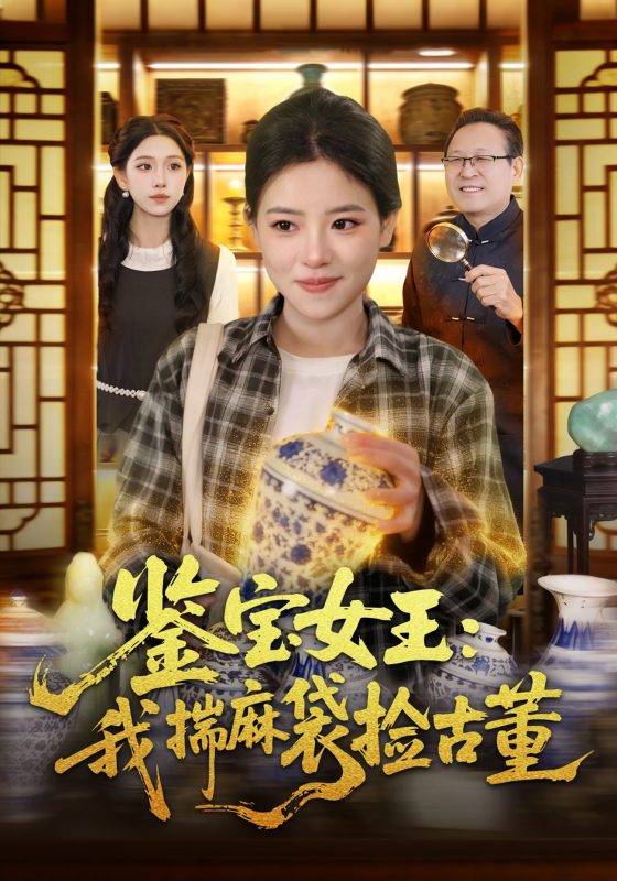 《鉴宝女王：我揣麻袋捡古董》-VIP部落