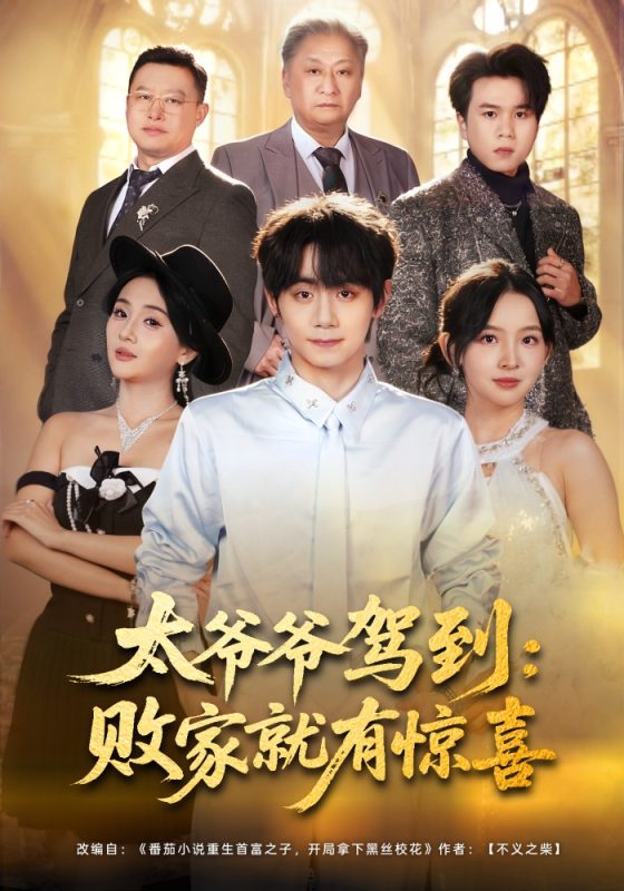 《太爷爷驾到：败家就有惊喜》-VIP部落