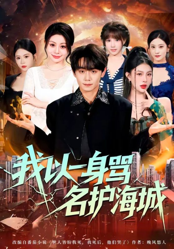 《我以一身骂名护海城》-VIP部落