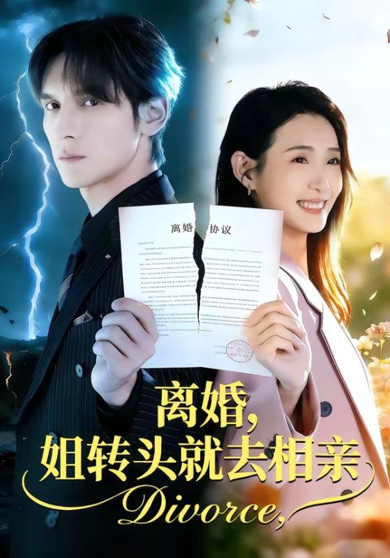 《离婚，姐转头就去相亲》-VIP部落