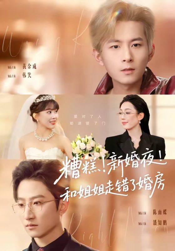 《糟糕！新婚夜！和姐姐走错了婚房》-VIP部落