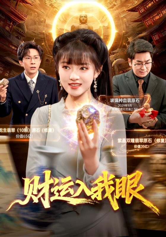 《财运入我眼》-VIP部落