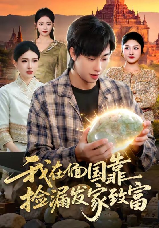 《我在偭国靠捡漏发家致富》-VIP部落