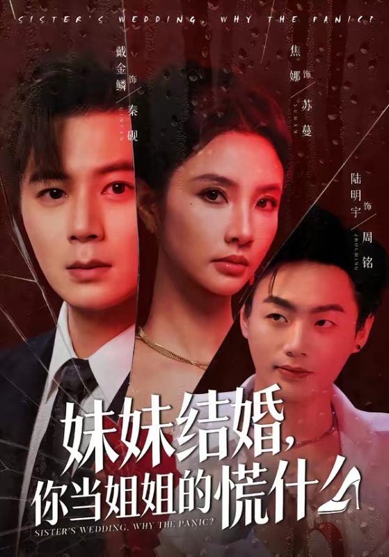 《妹妹结婚，你当姐姐的慌什么》-VIP部落