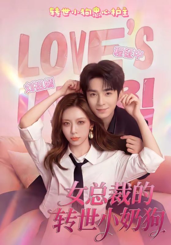 《女总裁的转世小奶狗》-VIP部落