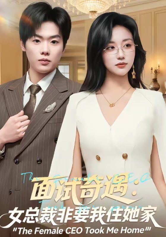 《面试奇遇：女总裁非要我住她家》-VIP部落