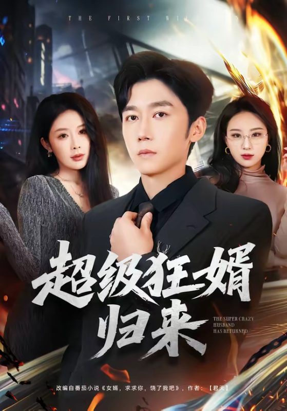 《超级狂婿归来》-VIP部落
