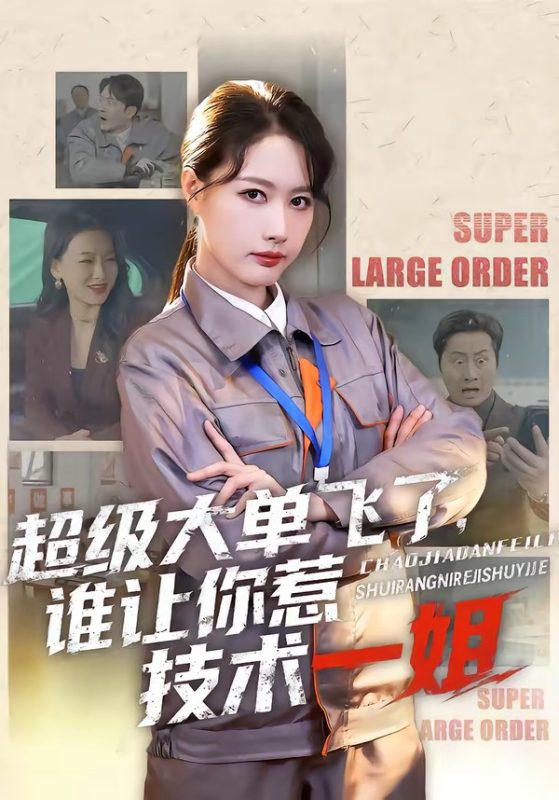《超级大单飞了，谁让你惹技术一姐》-VIP部落