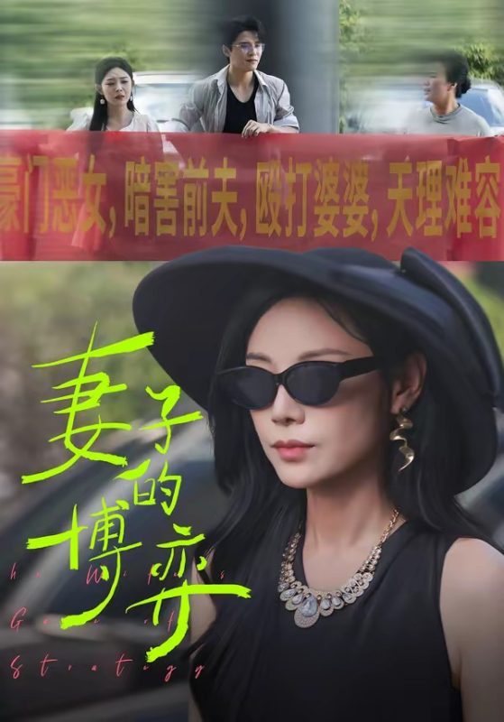 《妻子的博弈》-VIP部落