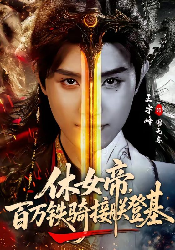 《休女帝，百万铁骑接朕登基》-VIP部落