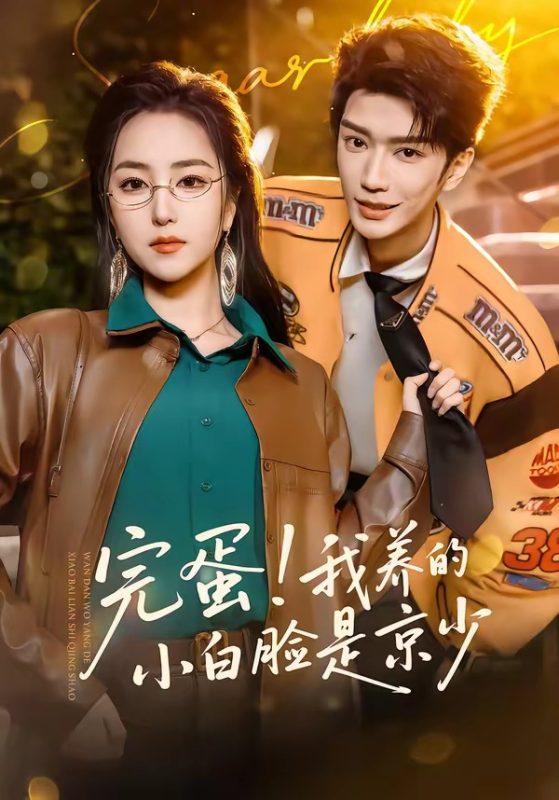 《完蛋！我养的小白脸是京少》-VIP部落