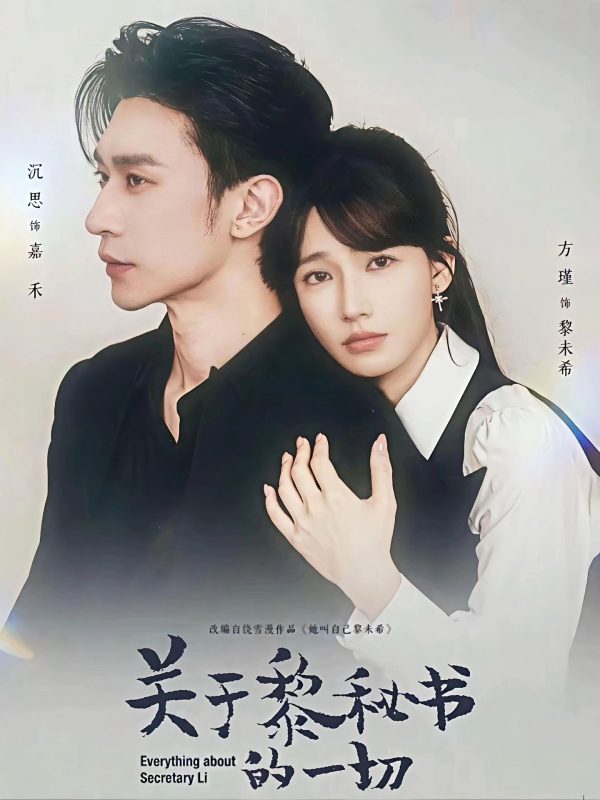 《关于黎秘书的一切》-VIP部落