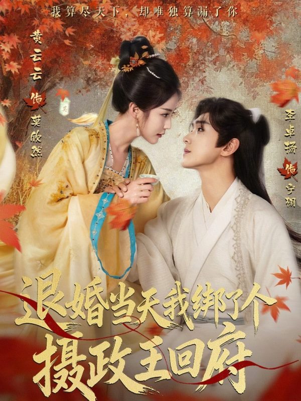 《退婚当天我绑了个摄政王回府》-VIP部落
