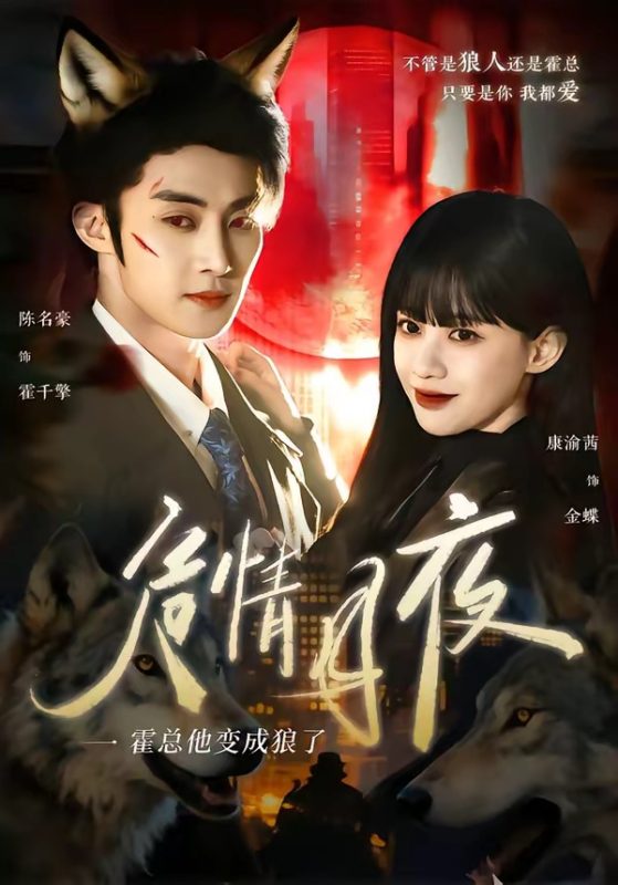 《危情月夜：霍总他变成狼了》-VIP部落