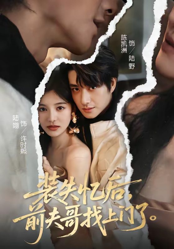 《装失忆后，前夫哥找上门了》-VIP部落