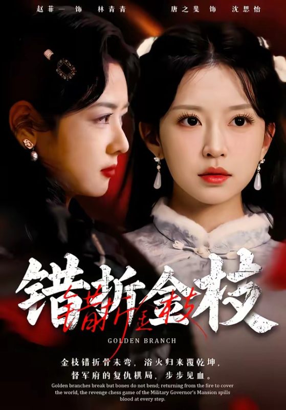 《错折金枝》-VIP部落