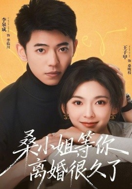 《桑小姐，等你离婚很久了》-VIP部落
