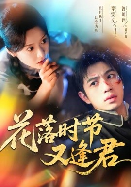 《花落时节又逢君》-VIP部落