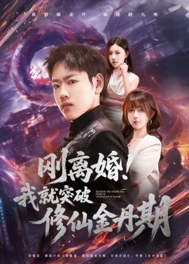 《刚离婚！我就突破修仙金丹期》-VIP部落