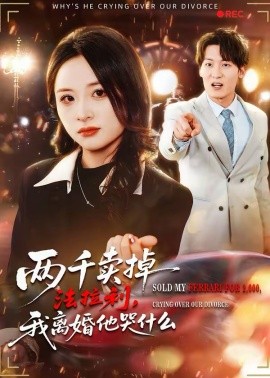 《两千卖掉法拉利，我离婚他哭什么》-VIP部落