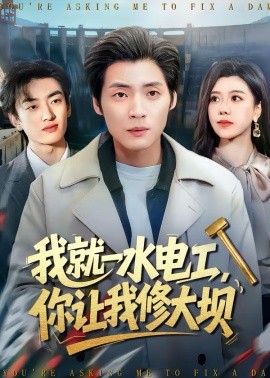 《我就一水电工，你让我修大坝》-VIP部落