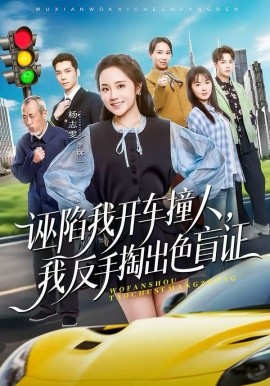 《诬陷我开车撞人，我反手掏出色盲证》-VIP部落