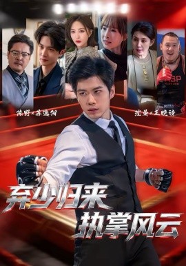 《弃少归来，执掌风云》-VIP部落
