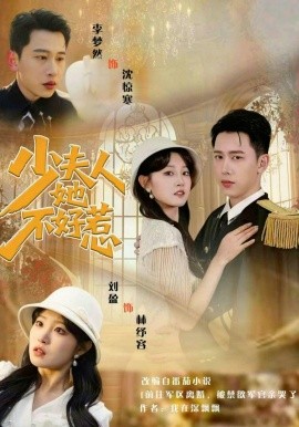 《少夫人她不好惹》-VIP部落