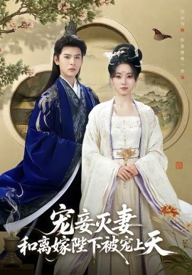 《宠妾灭妻，和离嫁陛下被宠上天》-VIP部落