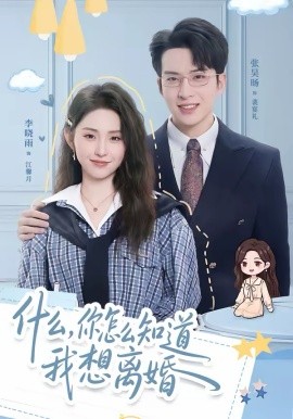 《什么，你怎么知道我想离婚》-VIP部落