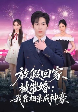 《放假回家被催婚：我靠相亲成神豪》-VIP部落