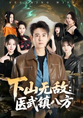 《下山无敌：医武镇八方》-VIP部落