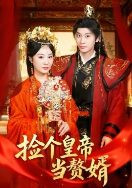 《捡个皇帝当赘婿》-VIP部落