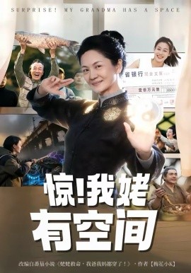 《惊！我姥有空间》-VIP部落