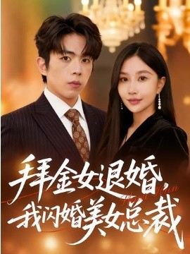 《拜金女退婚，我闪婚美女总裁》-VIP部落