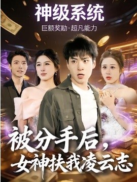 《被分手后，女神扶我凌云志》-VIP部落