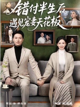 《错付半生后，遇见宠妻天花板》-VIP部落
