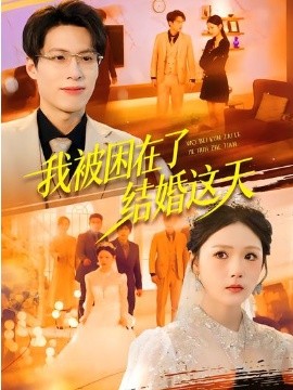 《我被困在了结婚这天》-VIP部落