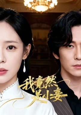《我竟然是小妾》-VIP部落