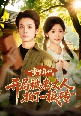 《重生年代开局被老丈人拍了一板砖》-VIP部落