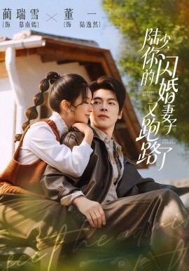 《陆少，你的闪婚妻子又跑路了》-VIP部落